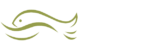 Kwavel